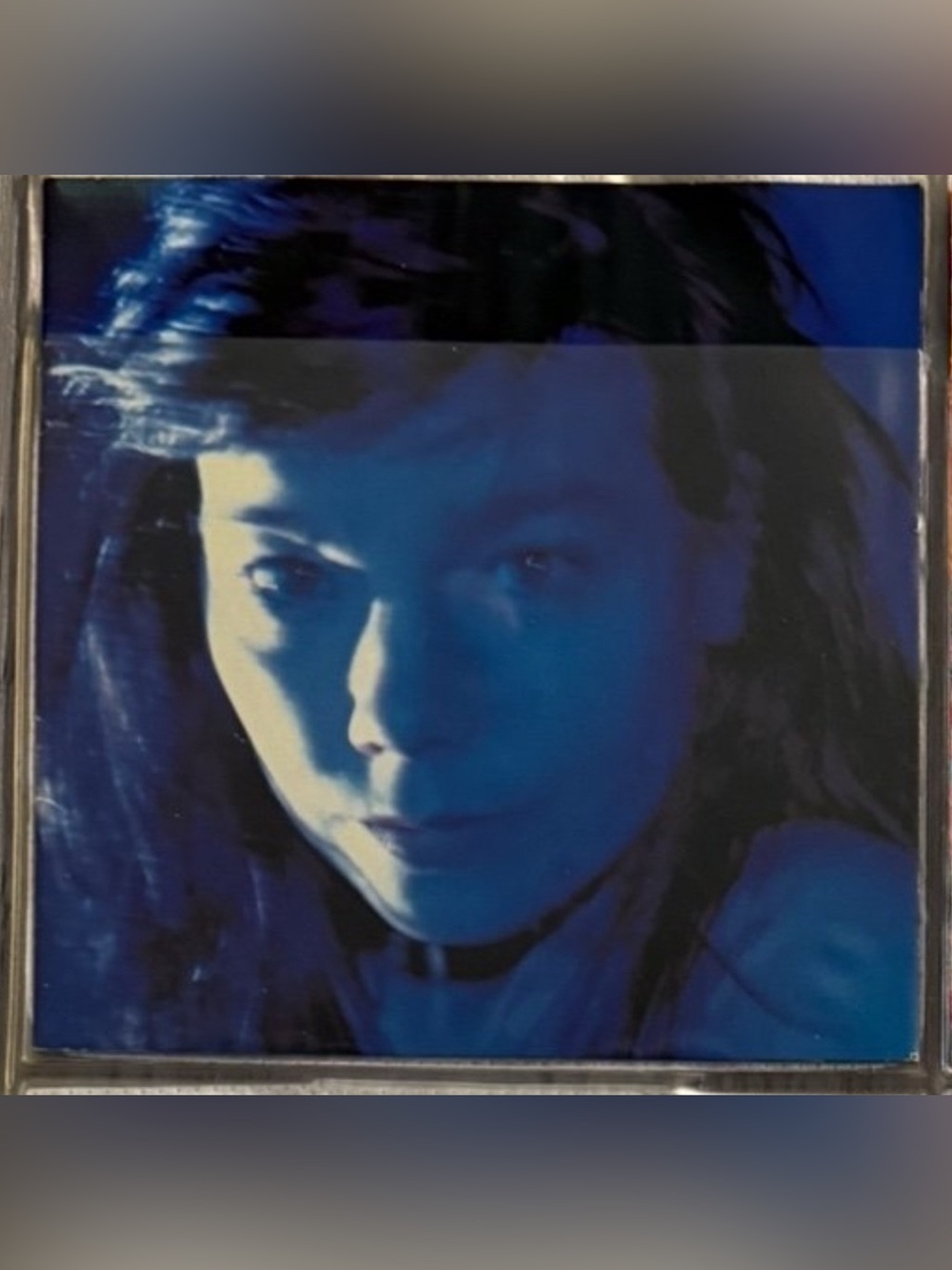 Telegram by Björk CD and Booklet Only